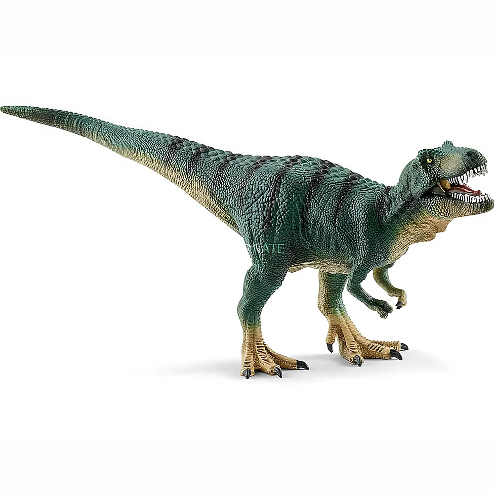 Schleich Dinosaurier Jungtier Tyrannosaurus Rex