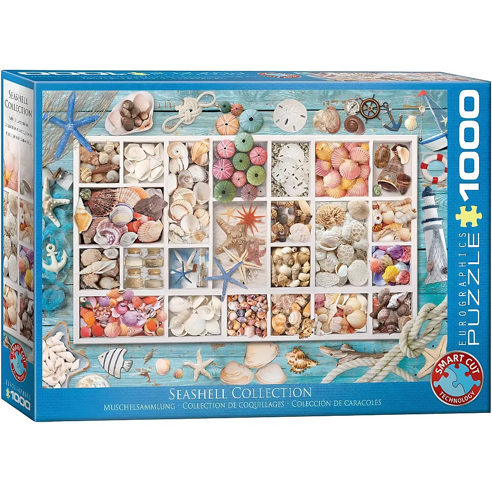 Eurographics Puzzle Muschelsammlung - 1000 Teile
