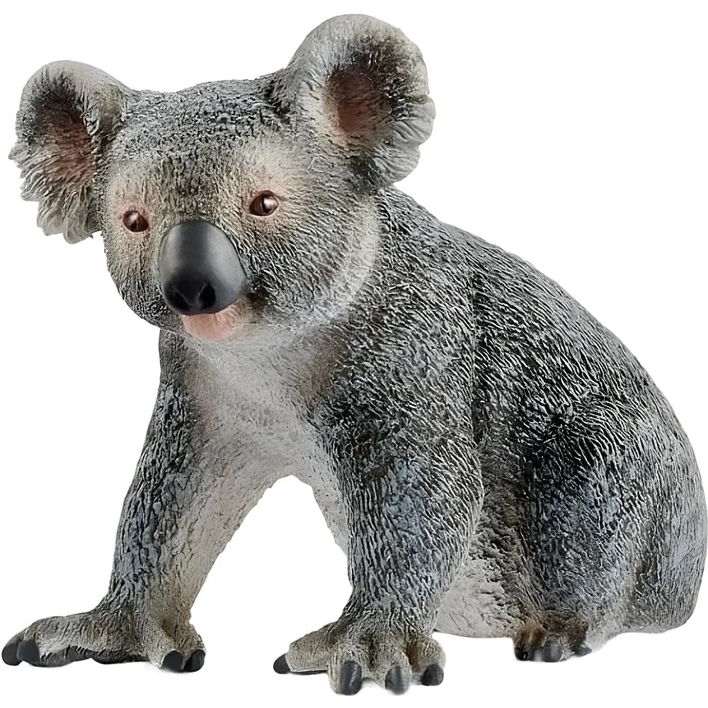 Schleich Wild Life Koala | Wildtiere