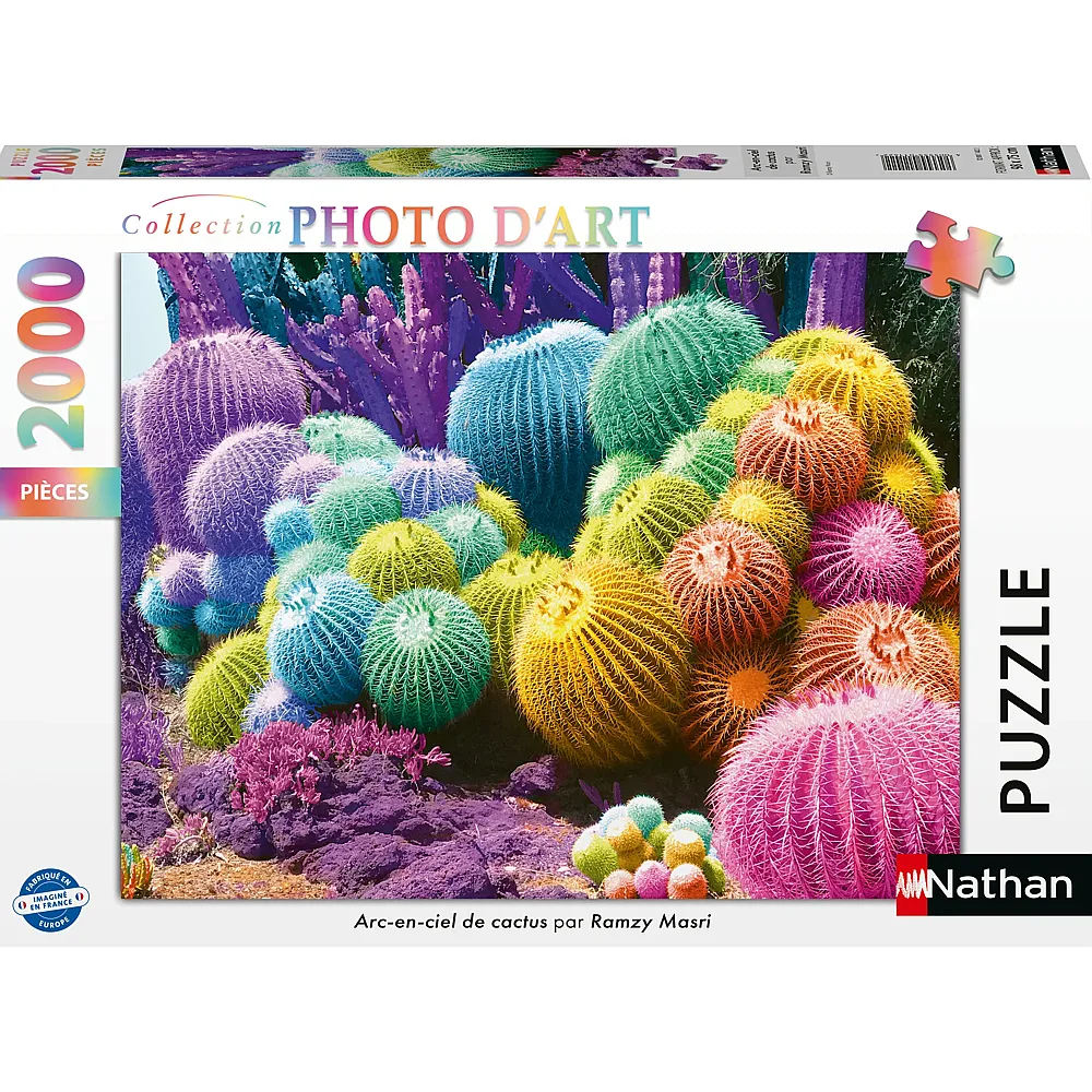 Nathan Puzzle Regenbogen aus Kaktus - 2000 Teile