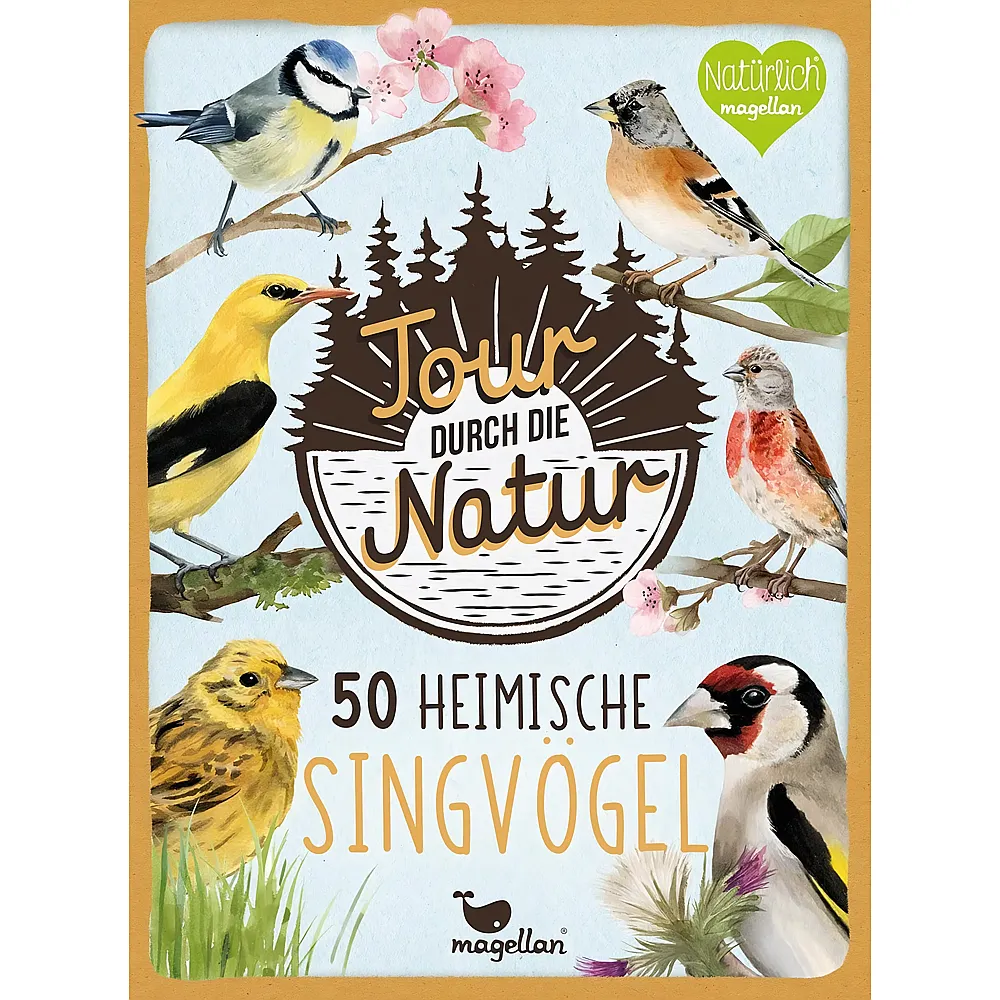 Magellan Tour durch die Natur Heimische Singv�gel