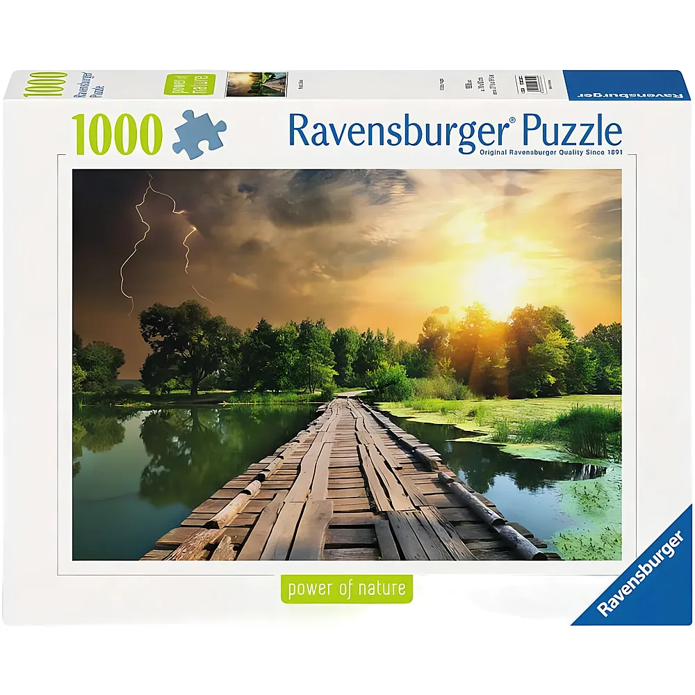Ravensburger Puzzle Mystisches Licht - 1000 Teile