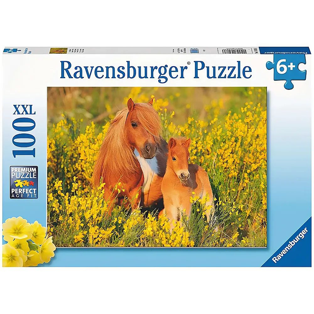 Ravensburger Puzzle Shetlandponys 100XXL