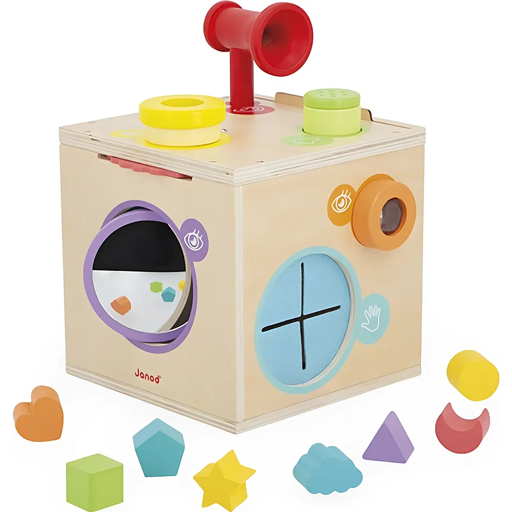 Janod Sensorik Box