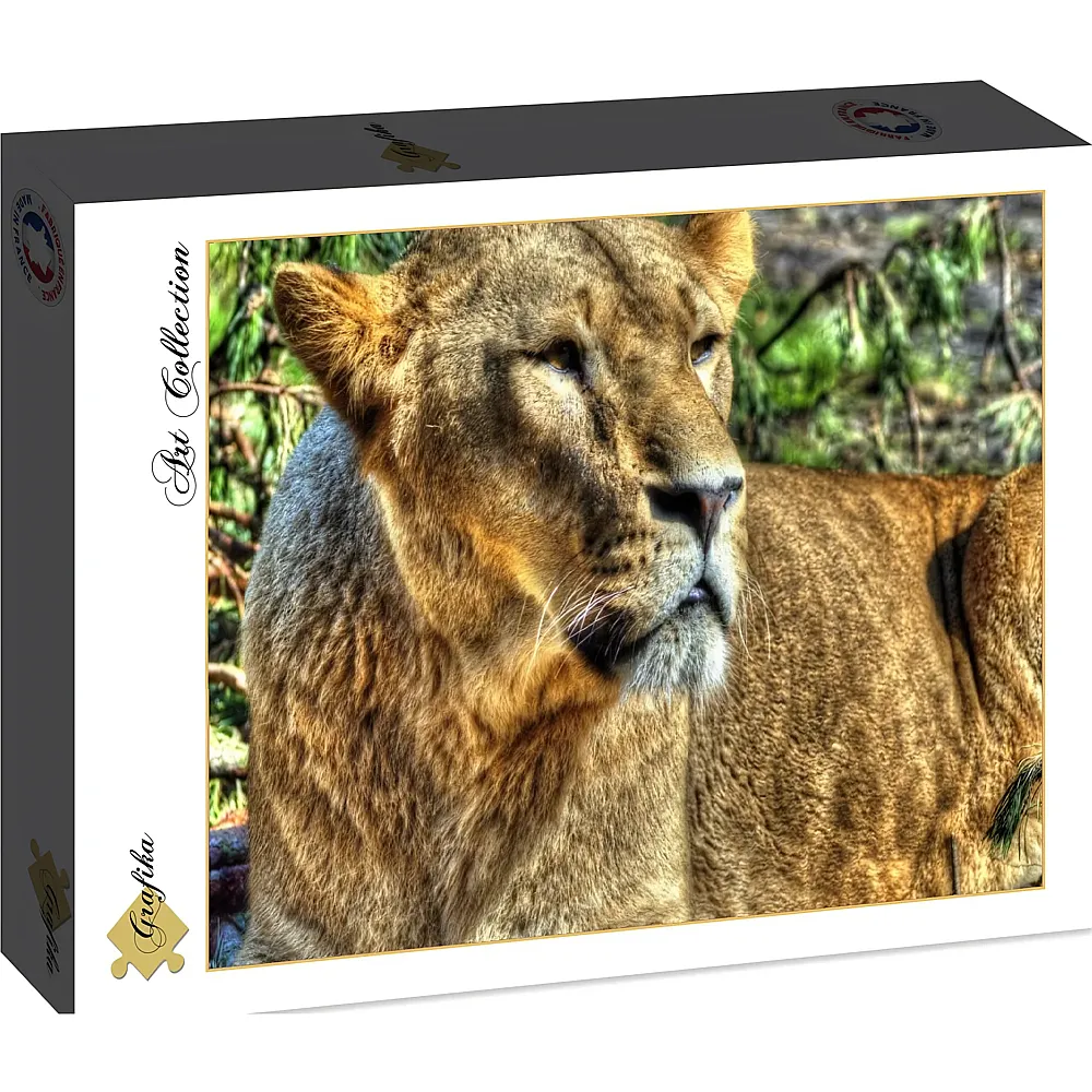 Grafika Puzzle Art Collection L�win - 2000 Teile