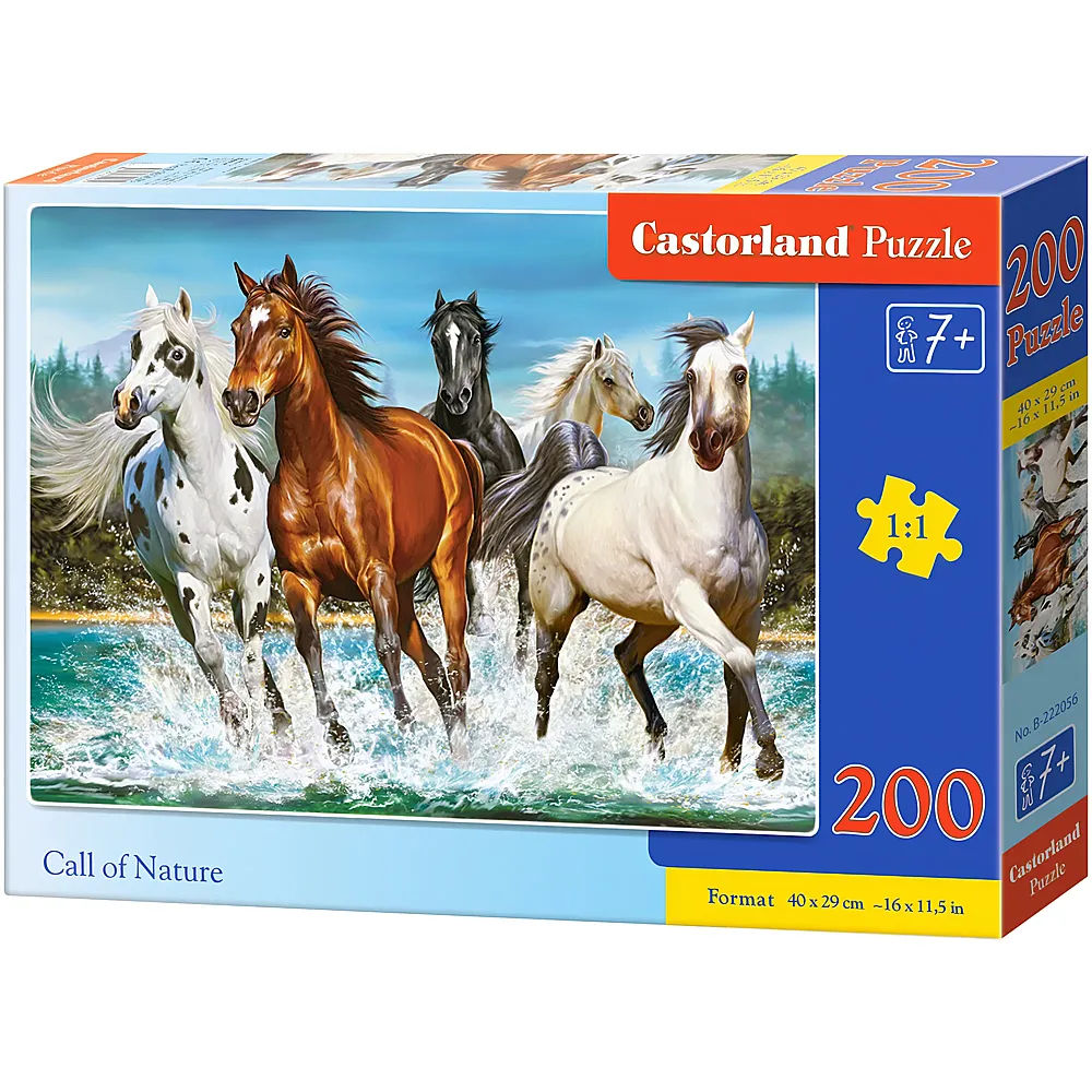 Castorland Puzzle Call of Nature 200Teile