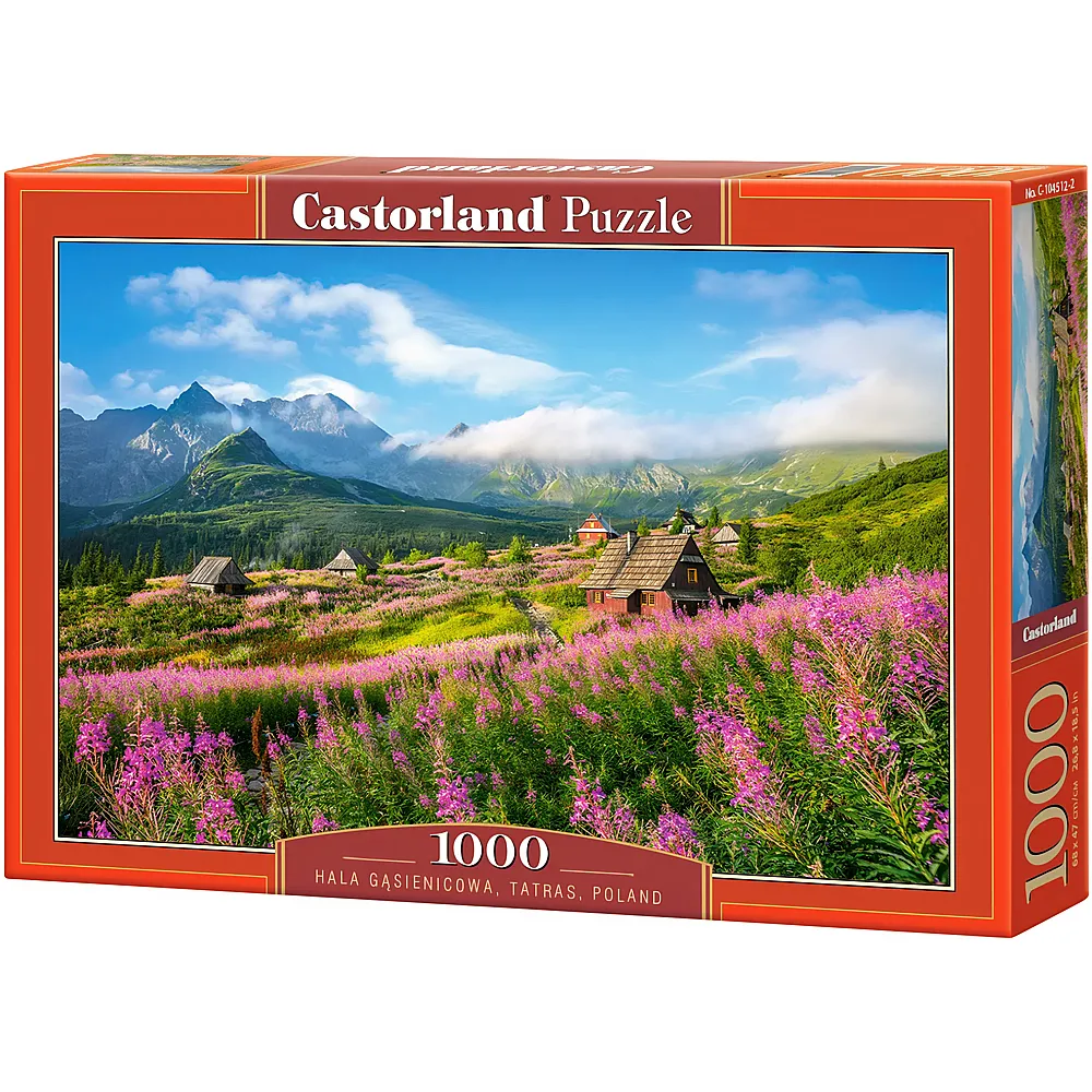 Castorland Puzzle Tatras, Polen - 1000 Teile