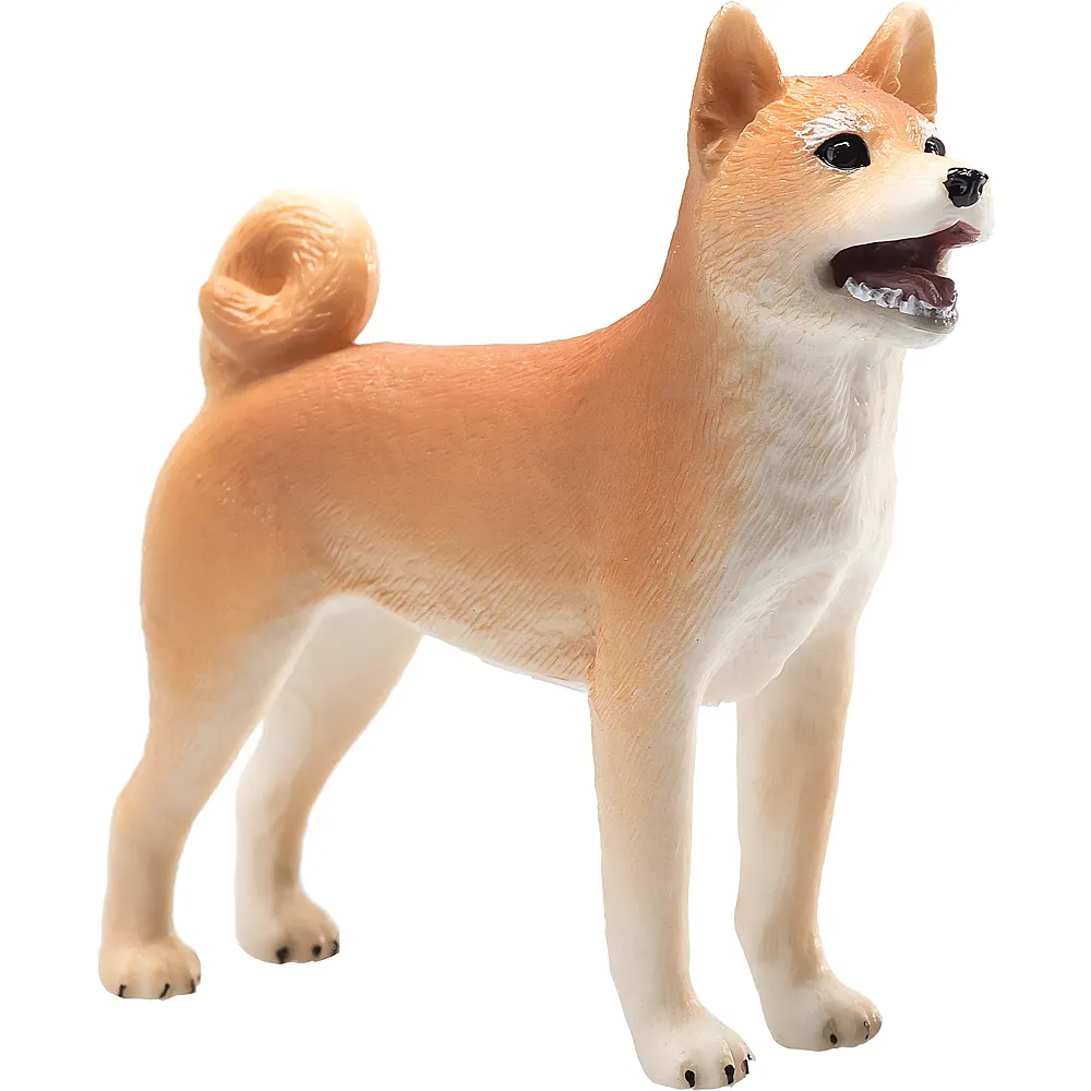 Mojo Farmland Shiba Inu