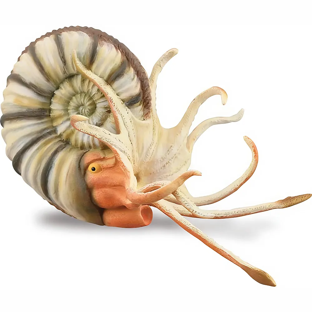 CollectA Prehistoric World Pleuroceras Ammonite - Dinosaurier