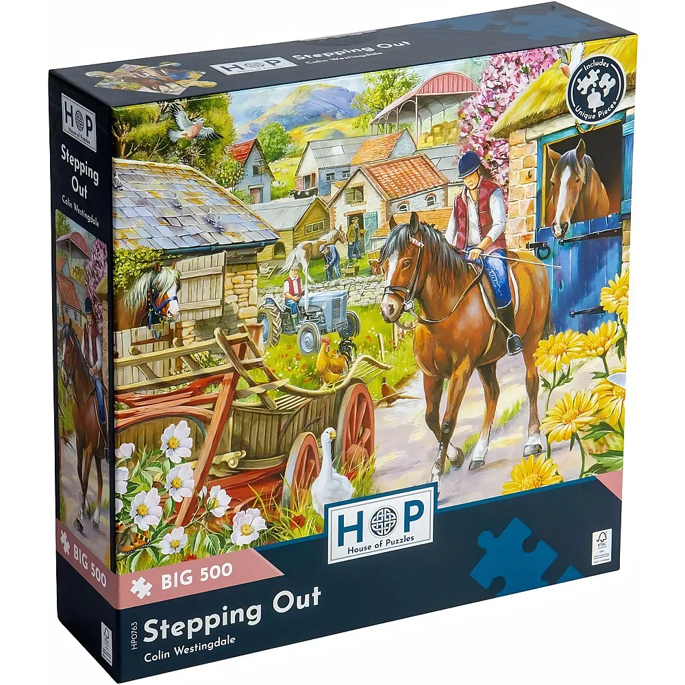 HOP - House of Puzzles Stepping Out 500Teile