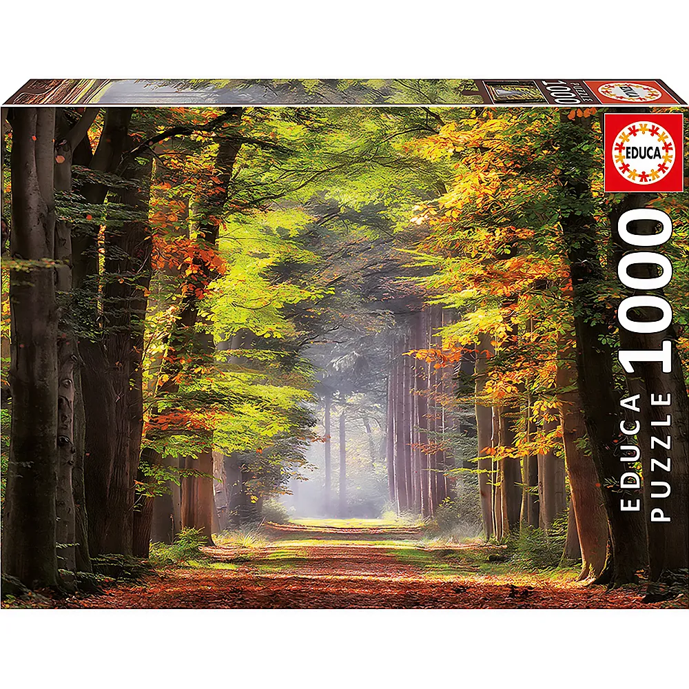 Educa Puzzle Herbstweg durch Wald 1000Teile