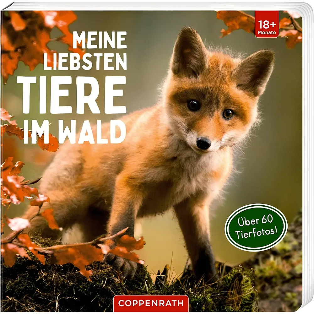 Coppenrath Meine liebsten Tiere im Wald | Papp-Bilderb�cher