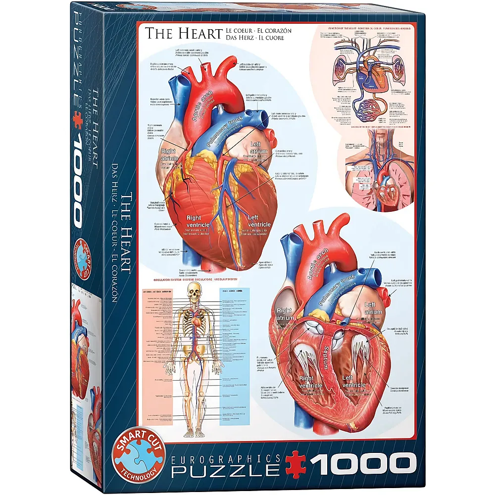 Eurographics Puzzle Das Herz - 1000 Teile | Puzzle 1000 Teile