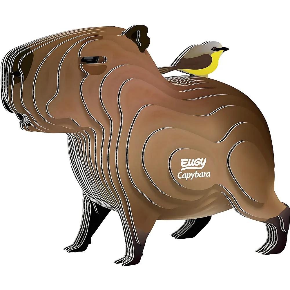 Eugy 3D Karton Figuren Wasserschwein
