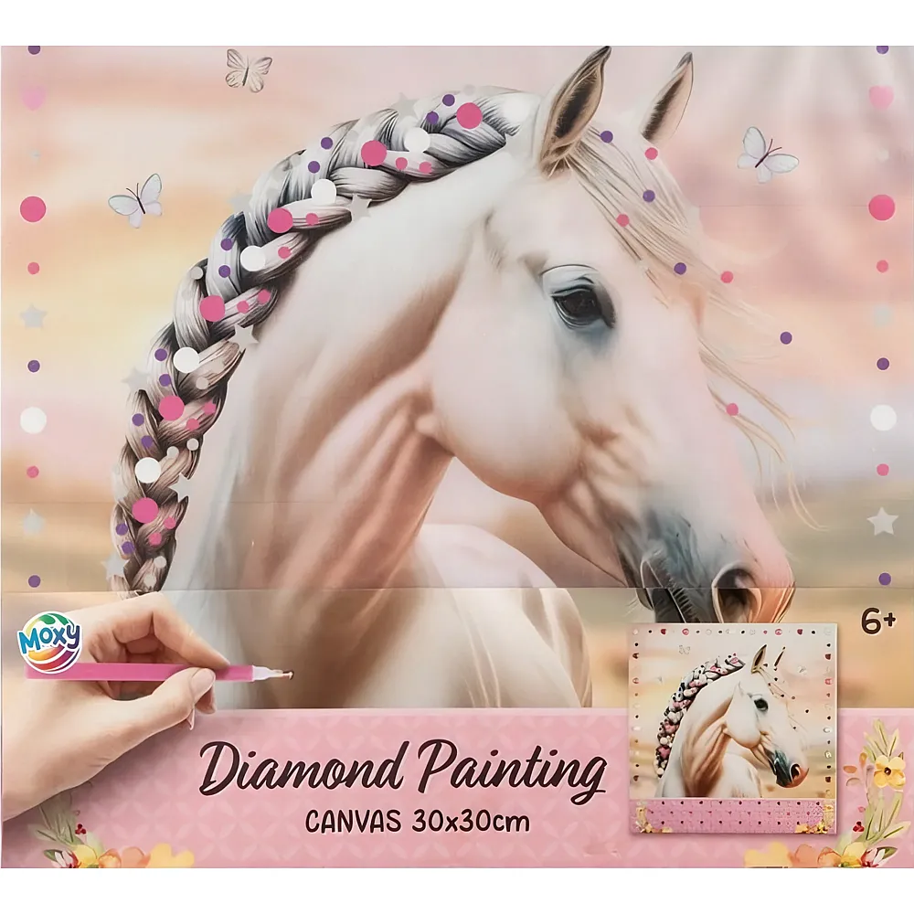 Sombo Diamant Mal-Set Pferd Canvas 30x30cm - Suche