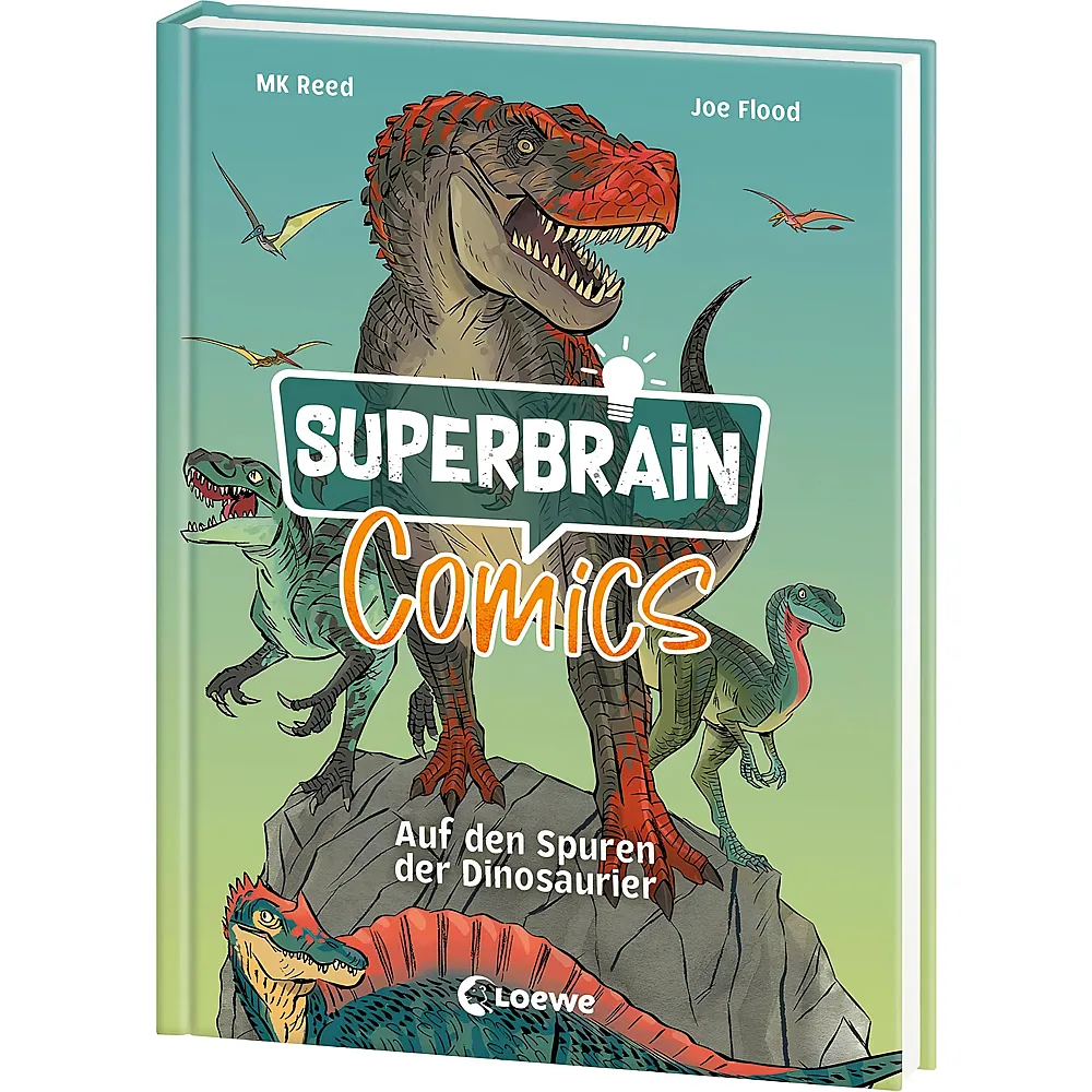 Loewe Superbrain-Comics - Auf den Spuren der D