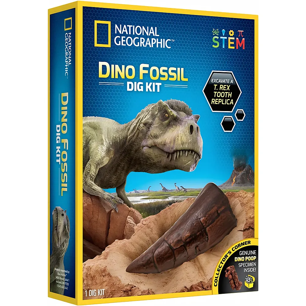 Boti National Geographic 3 Dinosaurier-Fossilien zum Ausgraben