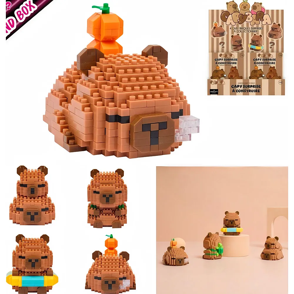 Sombo Kontruktions-Game Capybara in Blind Box ass. - Suche