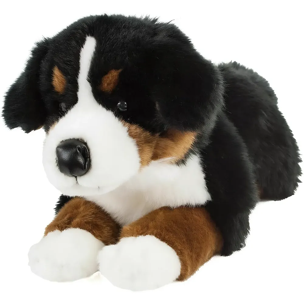meinspielzeug - Teddys Rothenburg Berner Sennenhund liegend - 45 cm | Hunde Pl�sch