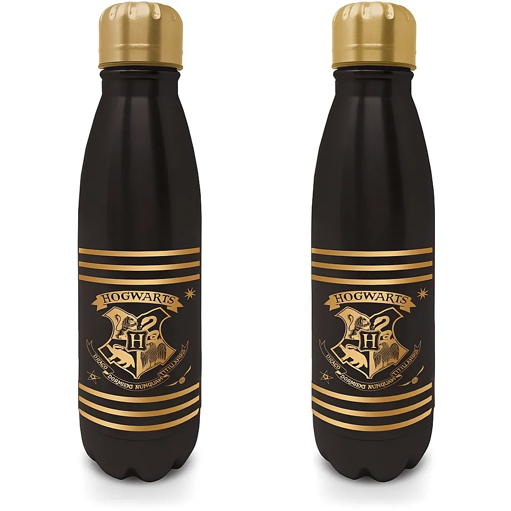 meinspielzeug - Pyramid Harry Potter: Bottle 540 ml