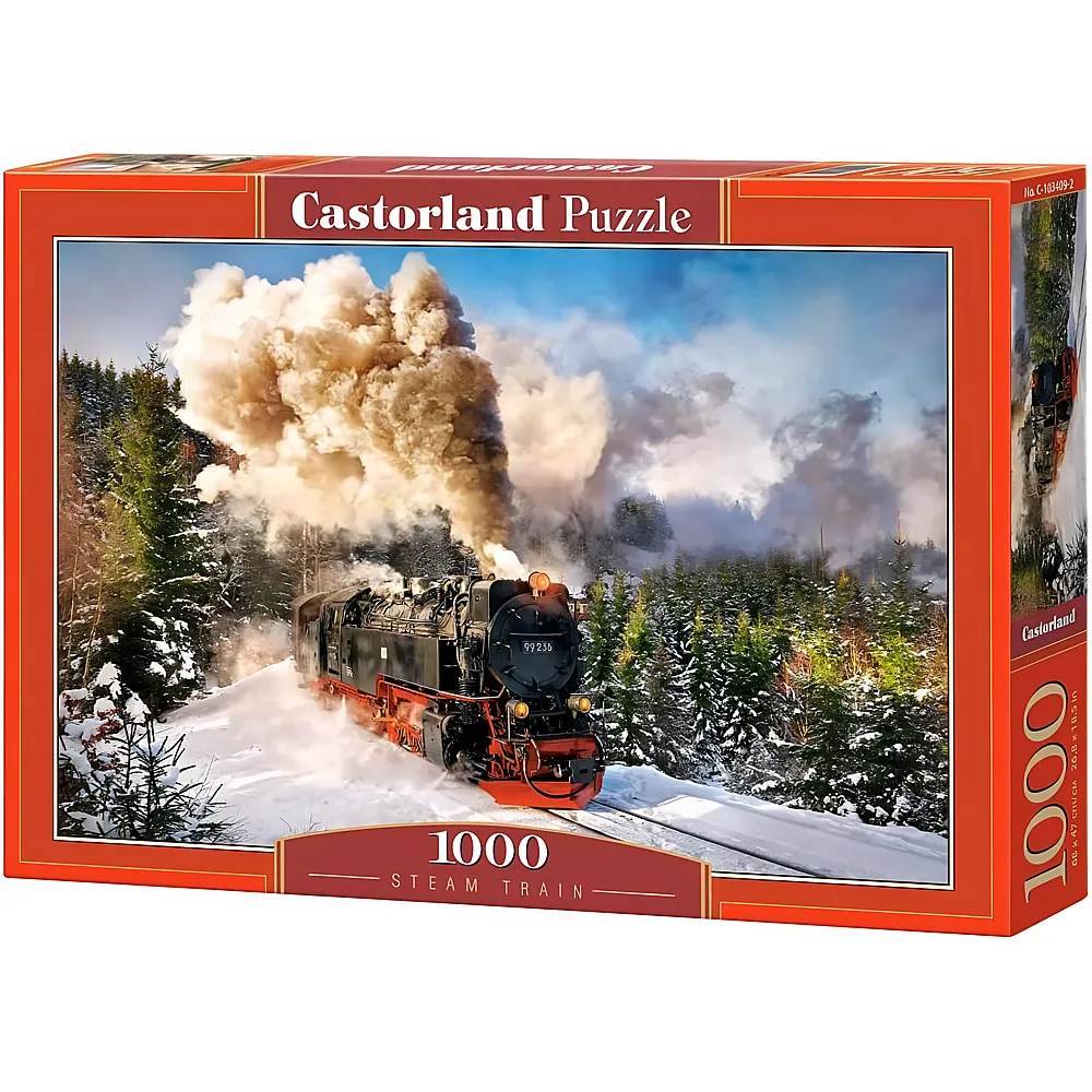 Castorland Puzzle Dampflokomotive 1000Teile