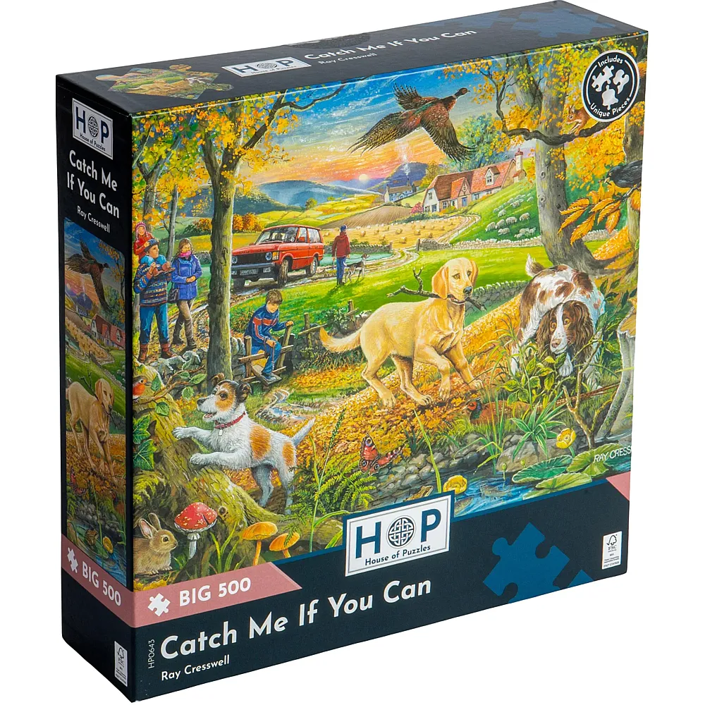 HOP - House of Puzzles Catch Me If You Can 500Teile