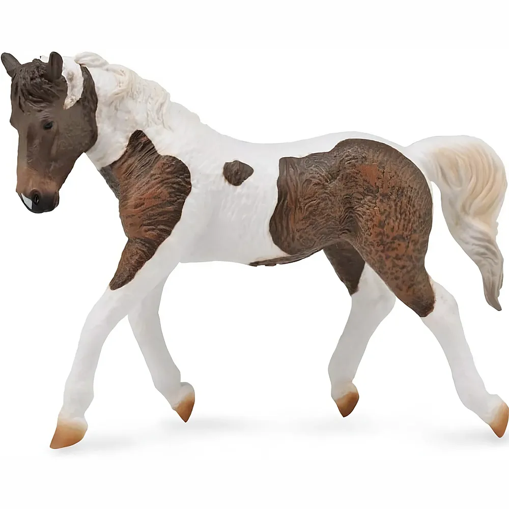 CollectA Horse Country Curly Stute | Pferde