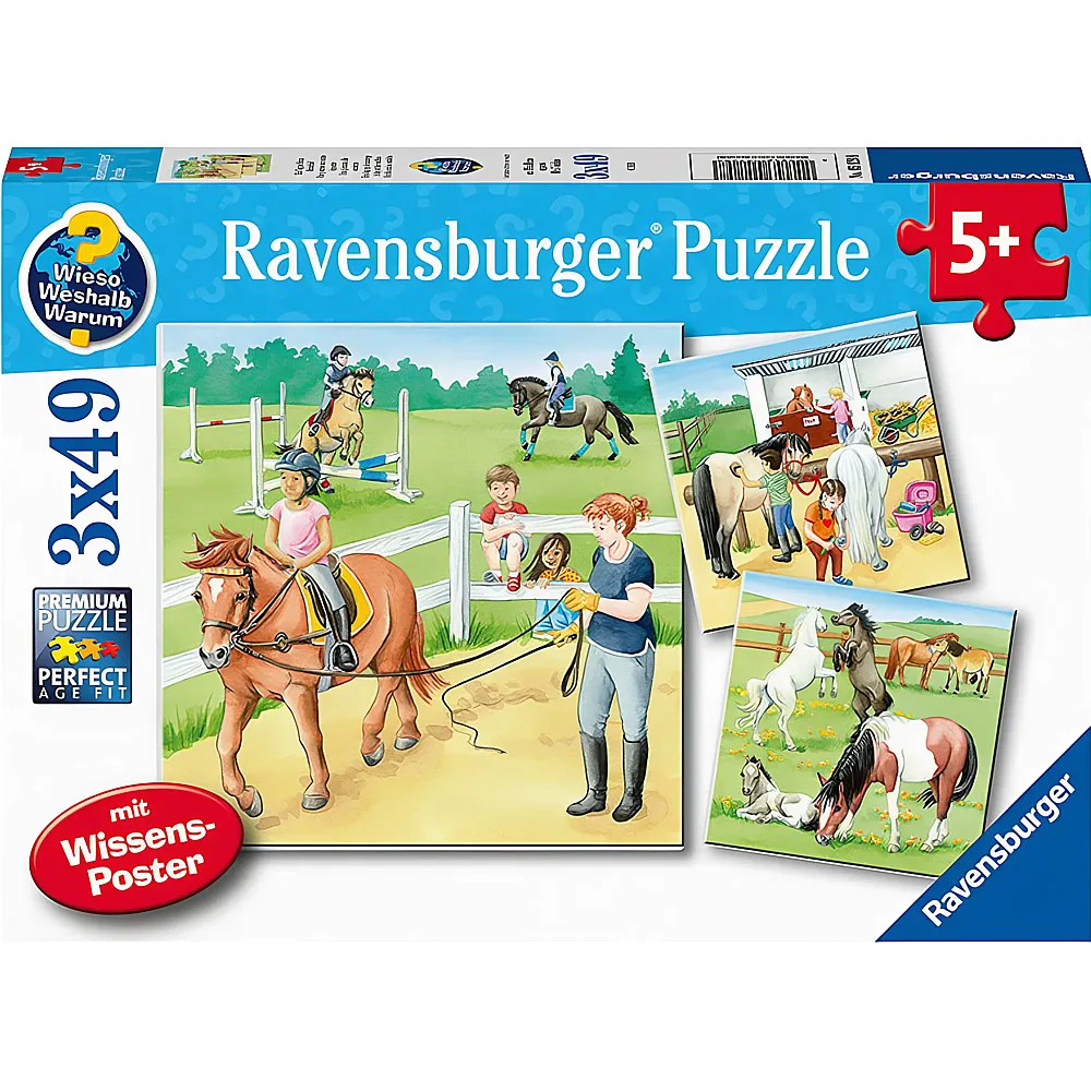 Ravensburger Puzzle Ein Tag auf dem Reiterhof 3x49