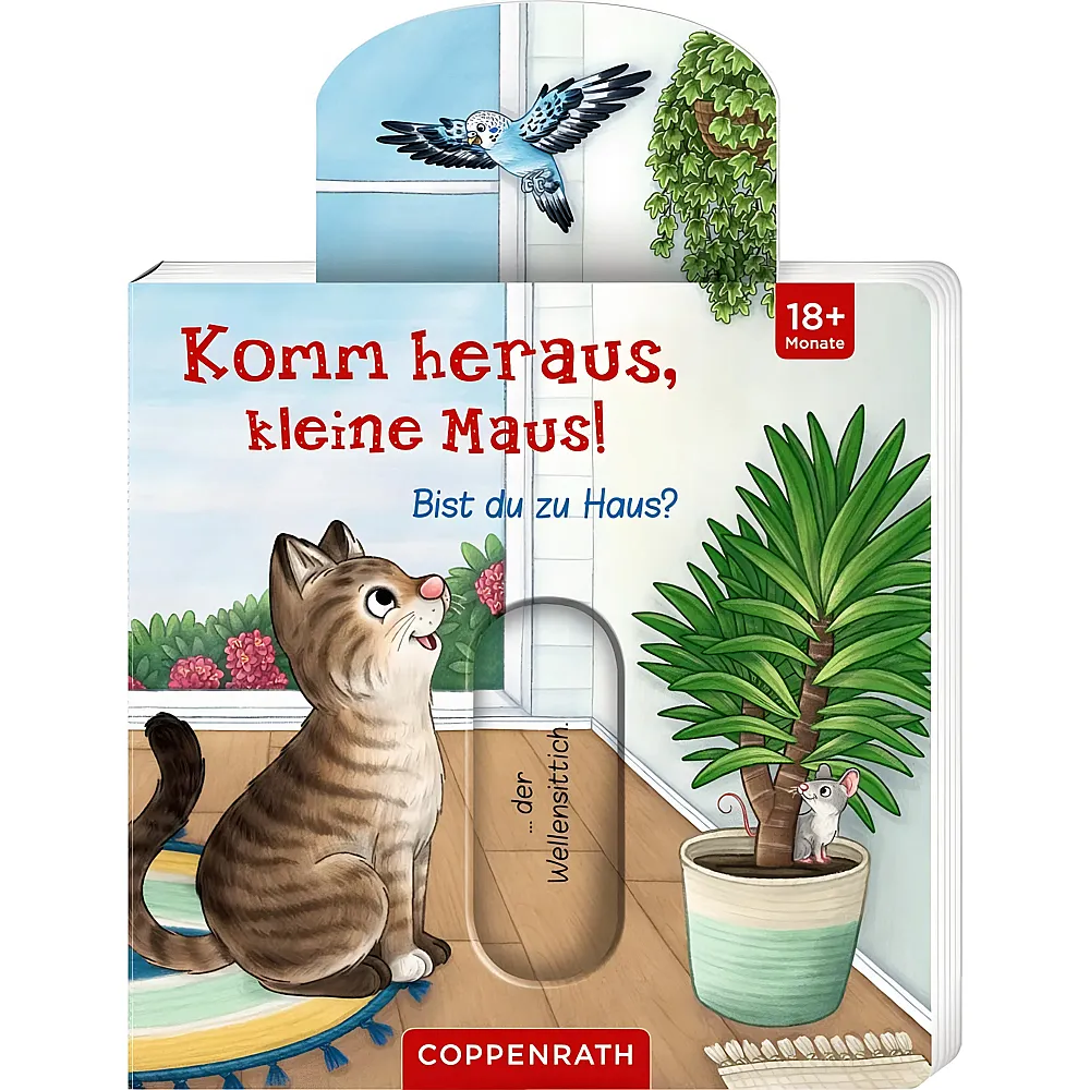 Coppenrath Komm heraus, kleine Maus: Bist du zu Haus