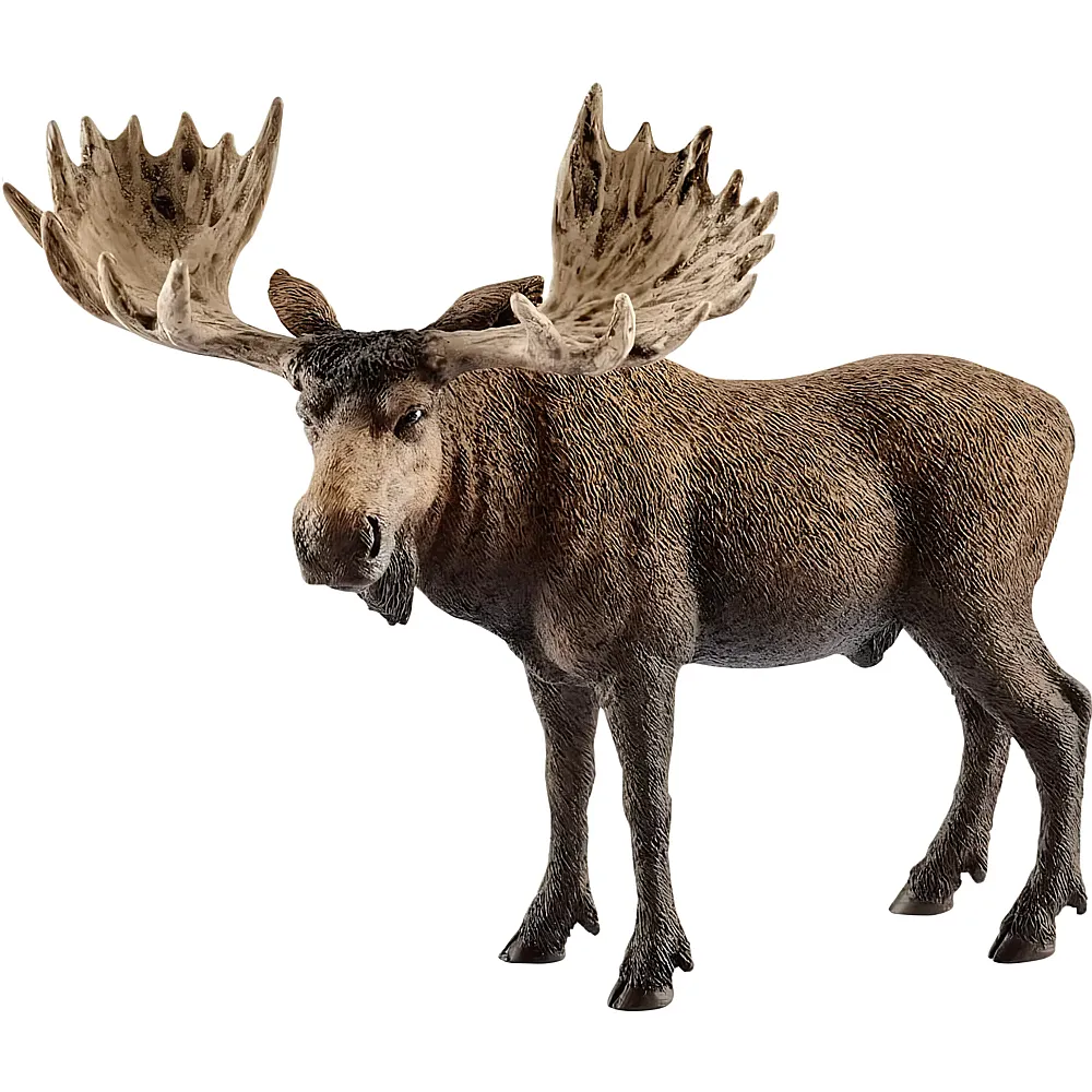 Schleich Wild Life Elch Bulle - Wildtiere