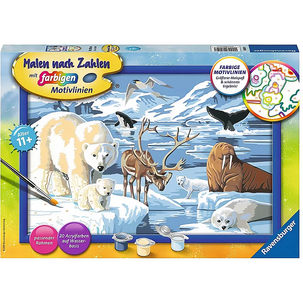 Ravensburger Malen nach Zahlen Farbige Motivlinien Tiere der Arktis