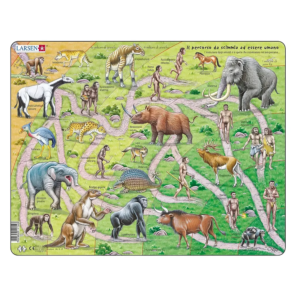 Larsen Puzzle Il percorso da scimmia ad essere umano - 83 Teile