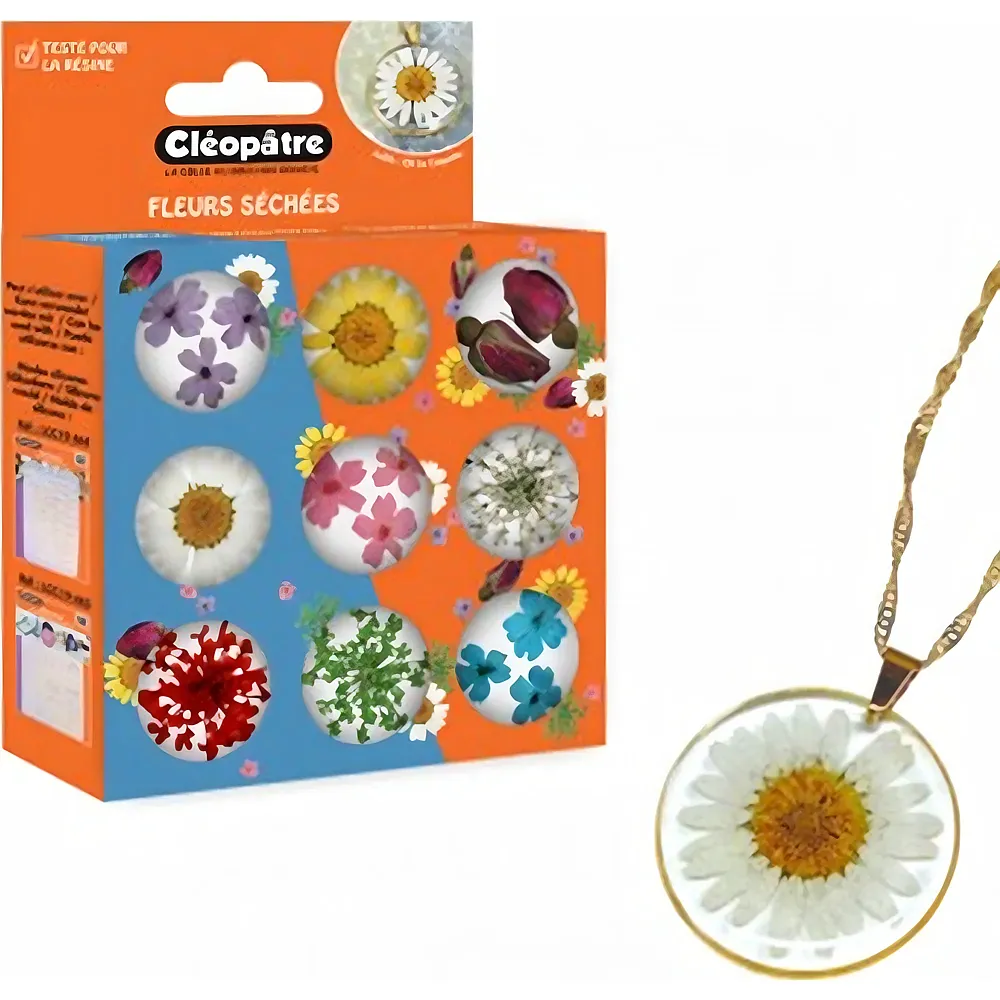 Cleopatre Box Mit 9 Tpfen Getrockneten Blumenzubehrs