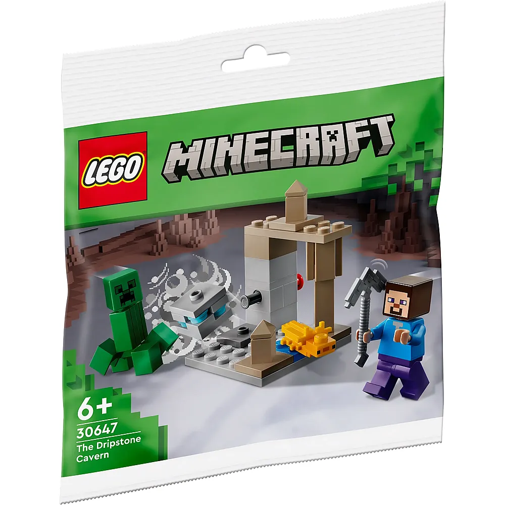LEGO Minecraft Pollybag Die Tropfsteinh�hle 30647