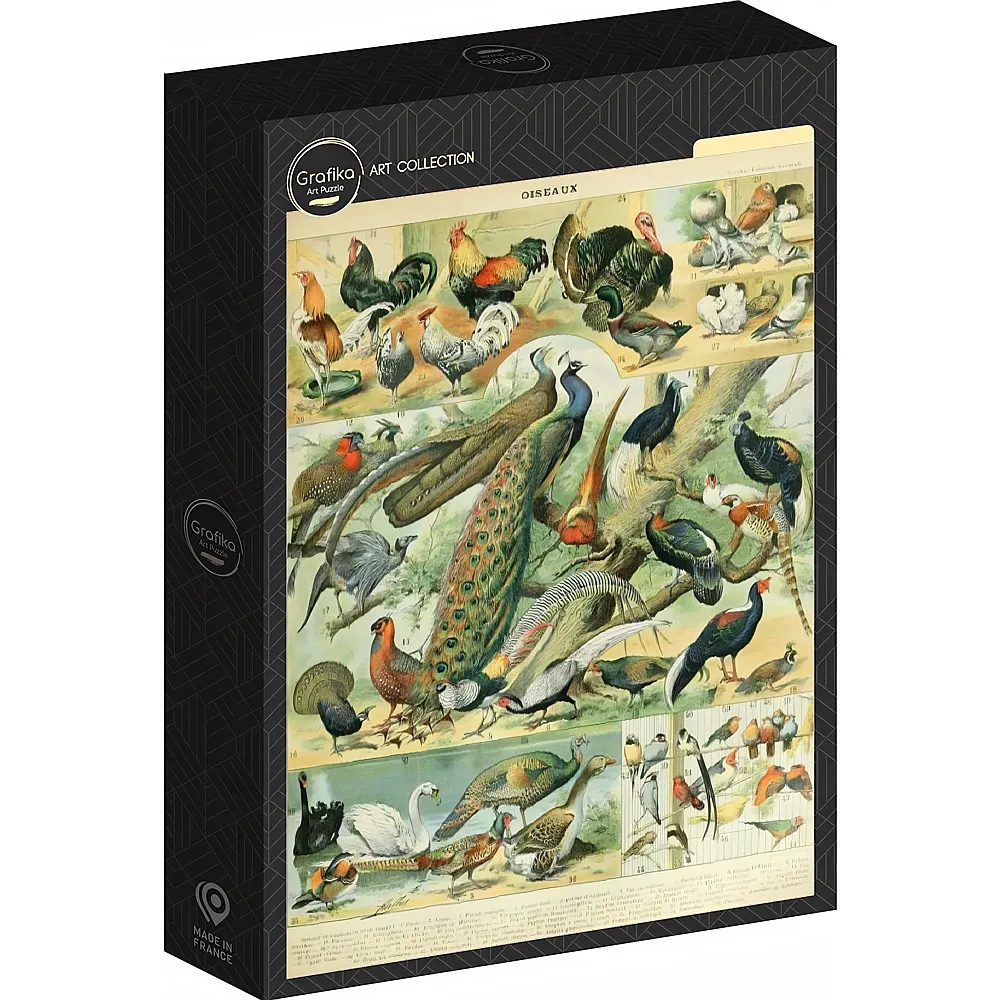 Grafika Puzzle Art Collection Abbildung aus Nouveau Larousse Illustr�: V�gel, 19. Jahrhundert 1000Teile