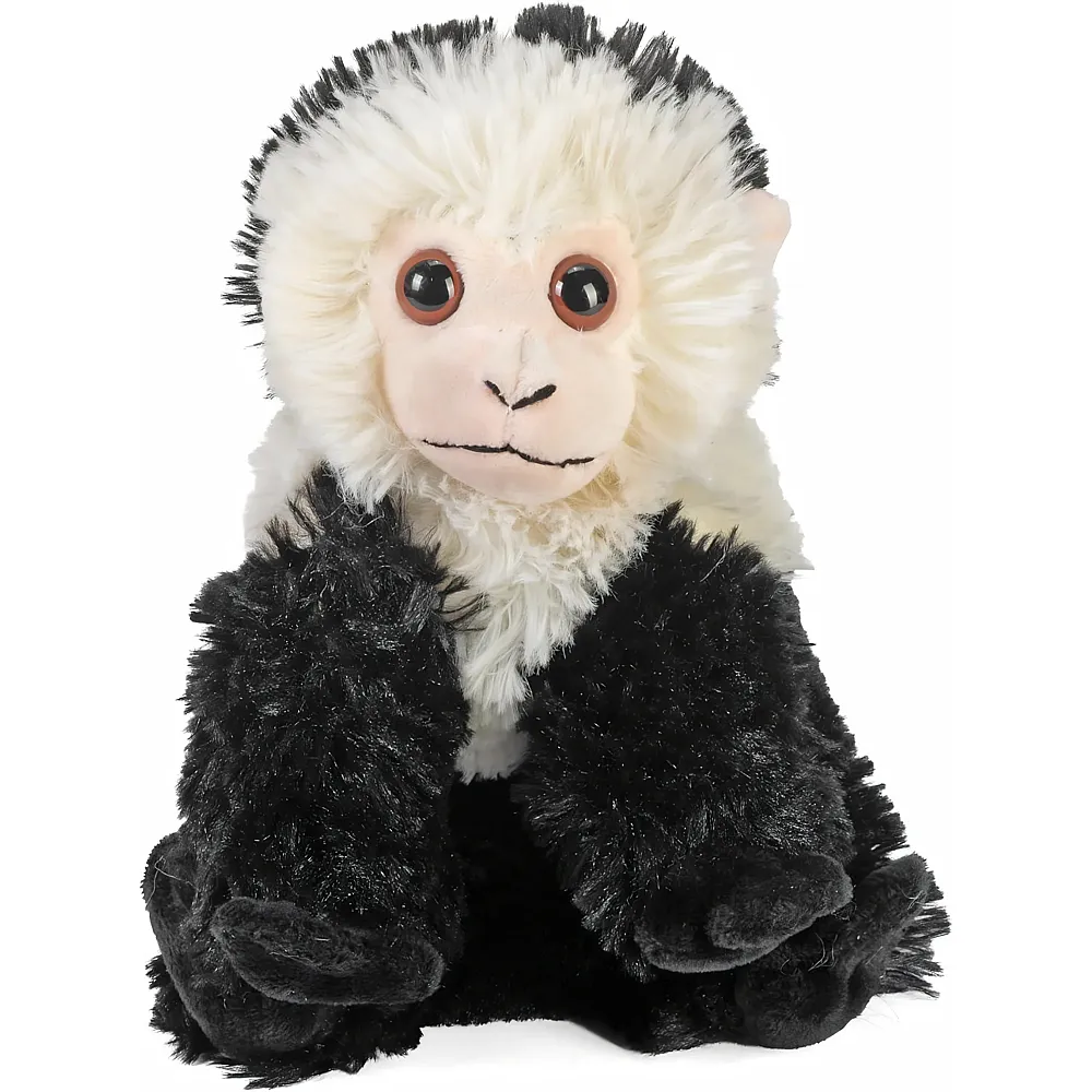 Wild Republic Rainforest Kapuziner Affe - 20 cm