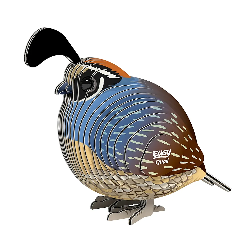 Eugy 3D Karton Figuren Wachtel - 129 Teile
