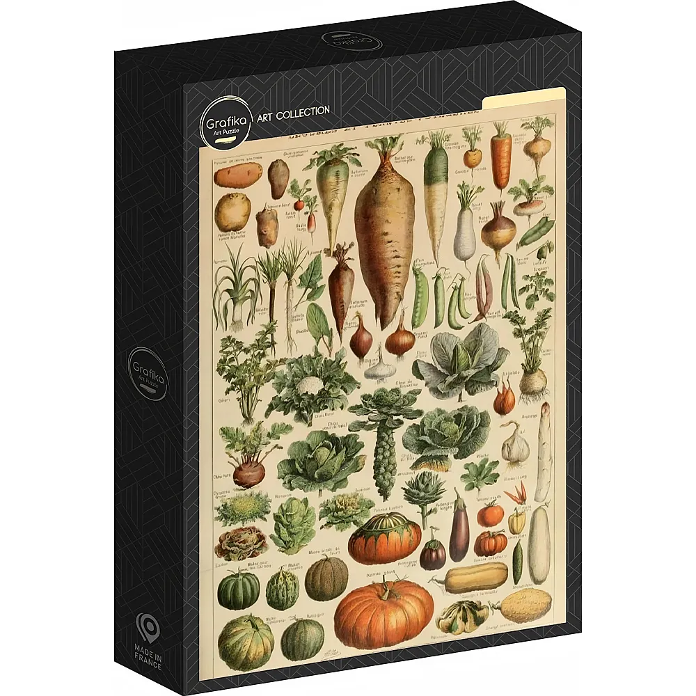 Grafika Puzzle Art Collection Abbildung aus dem Larousse pour Tous : Gem�se und Gem�sepflanzen, 19. Jahrhundert 1000Teile