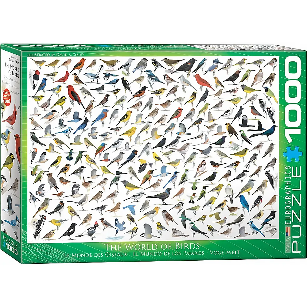 Eurographics Puzzle The World of Birds - 1000 Teile | Puzzle 1000 Teile