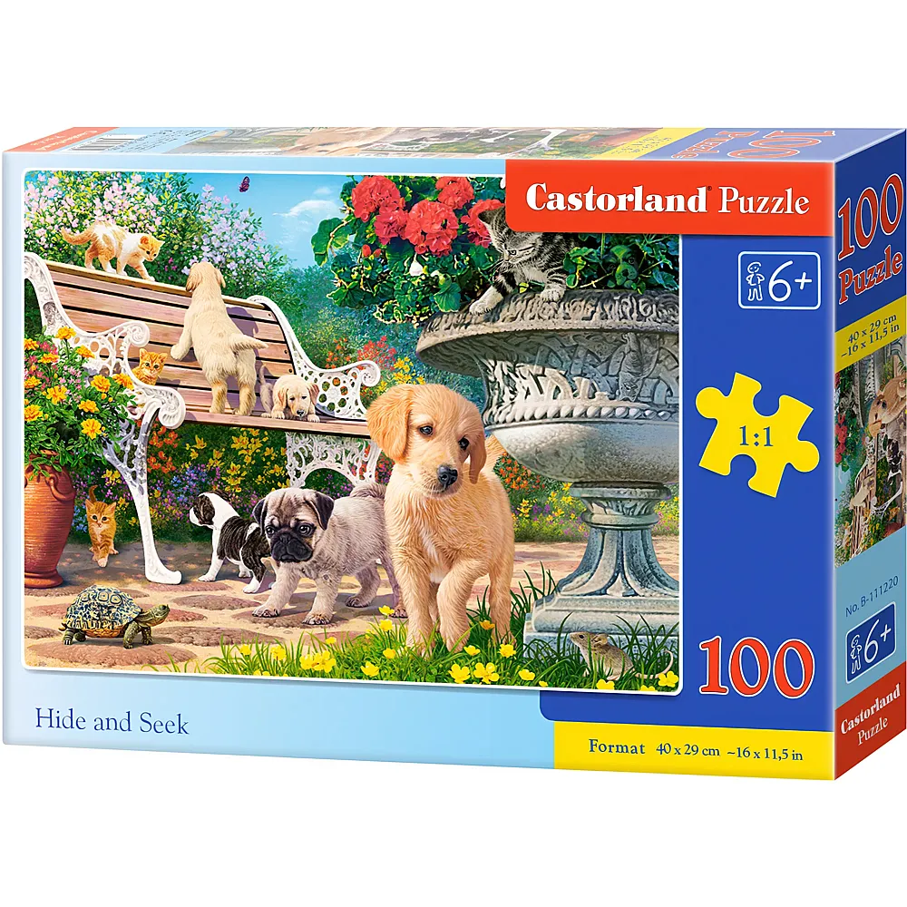 Castorland Puzzle Hide and Seek - 100 Teile