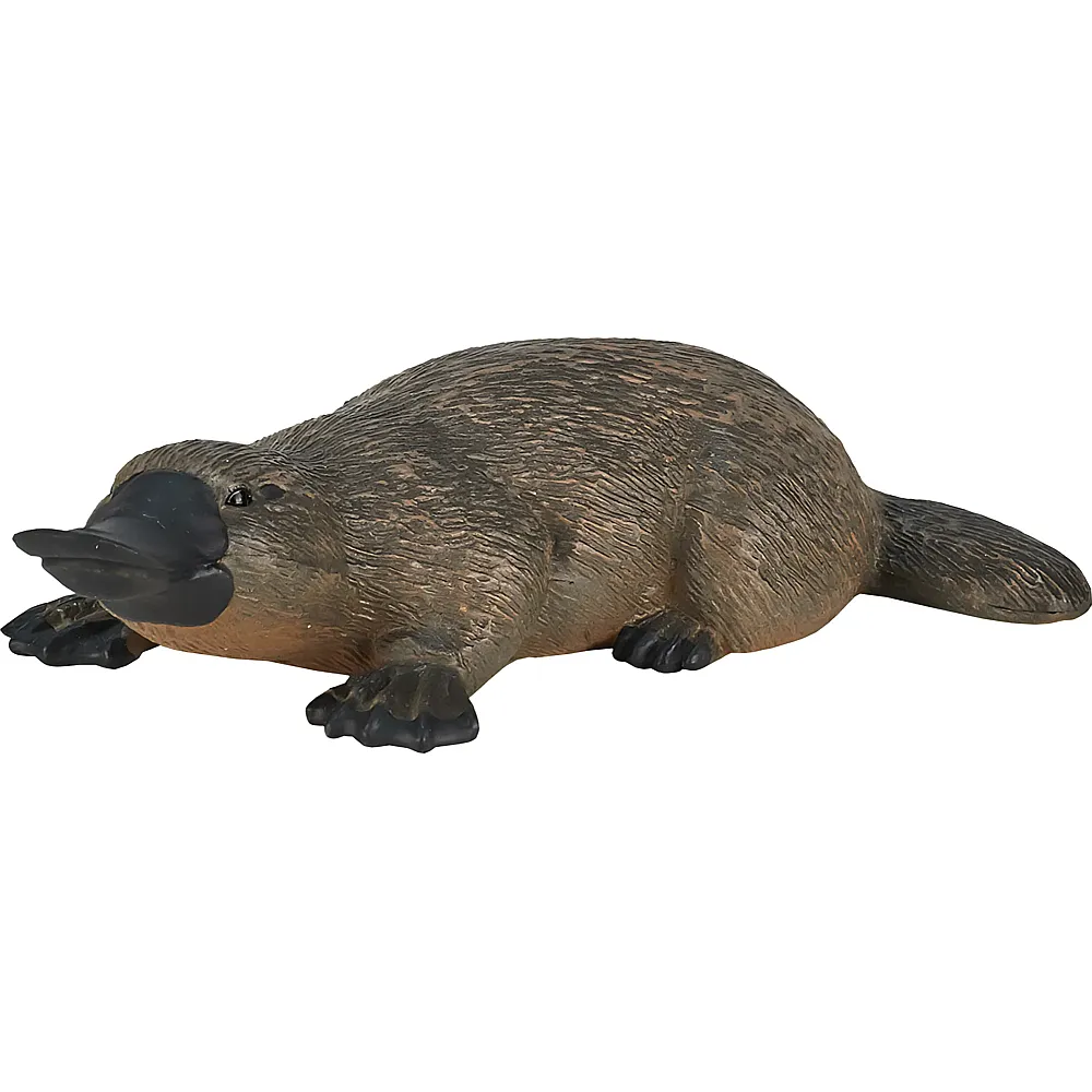 Mojo Wildlife Schnabeltier