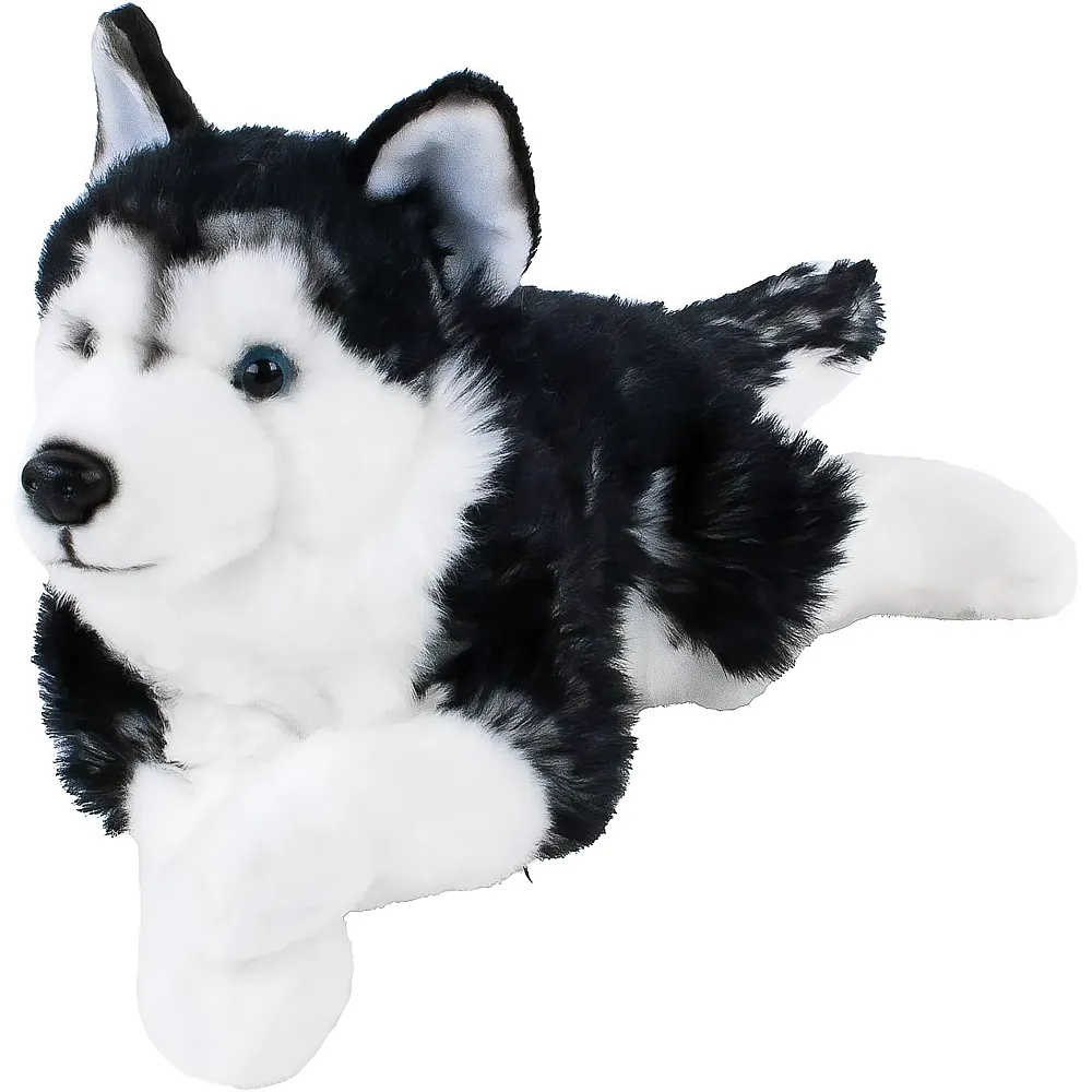 Teddys Rothenburg Husky - 38 cm