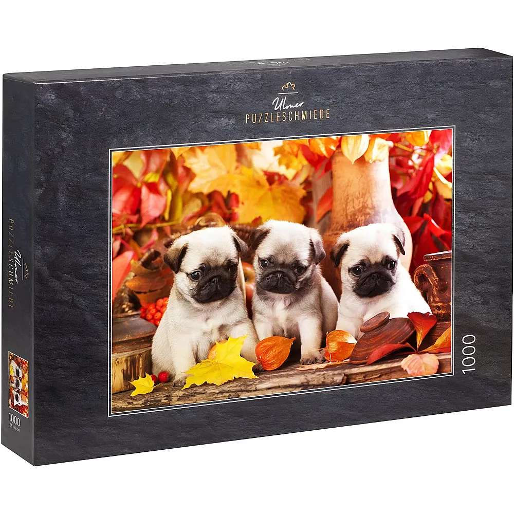 Ulmer Puzzleschmiede Welpen-Gl�ck - Drei s�e Mops - 1000 Teile