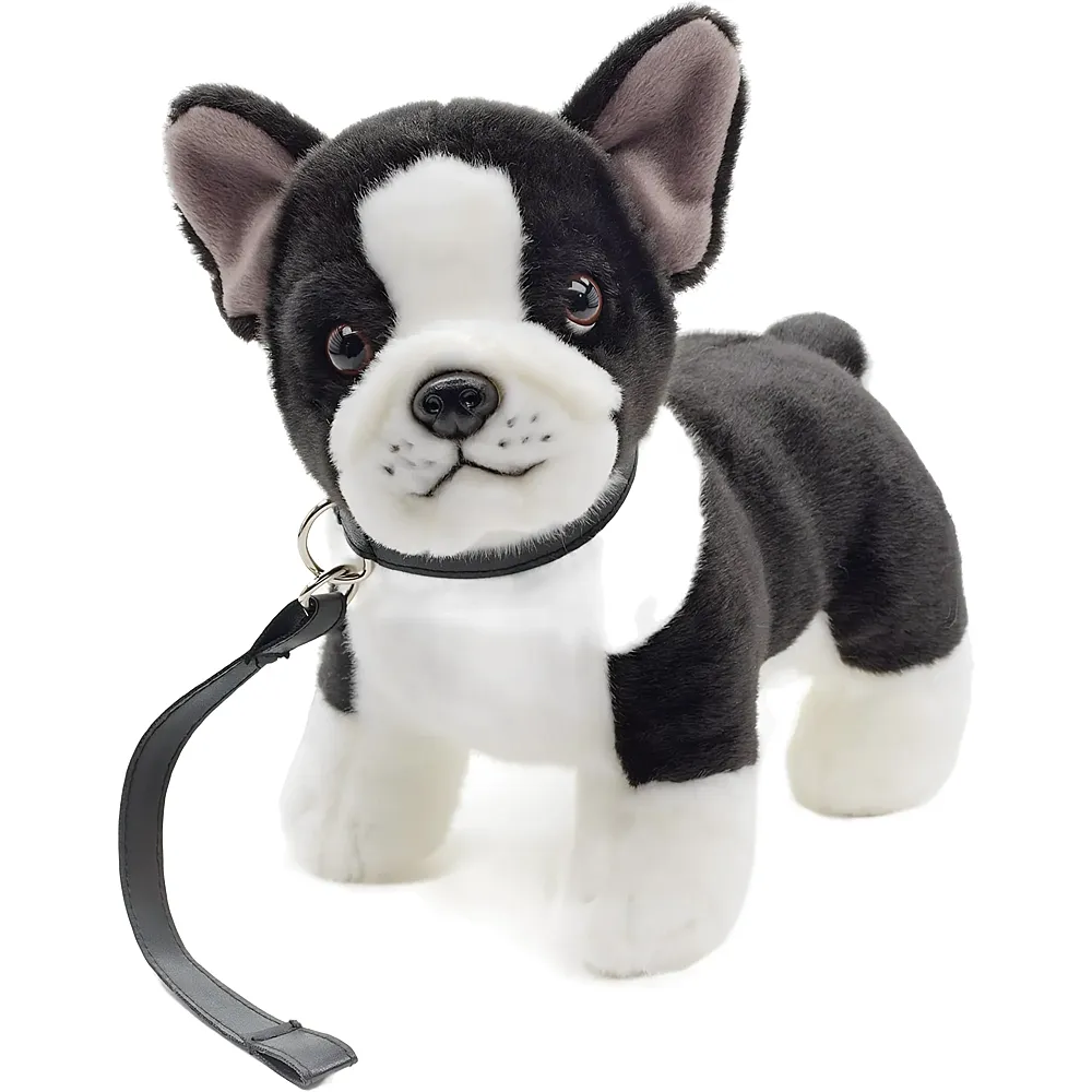 Unitoys Franz�sische Bulldoge mit Leine - 23 cm - Hunde Pl�sch