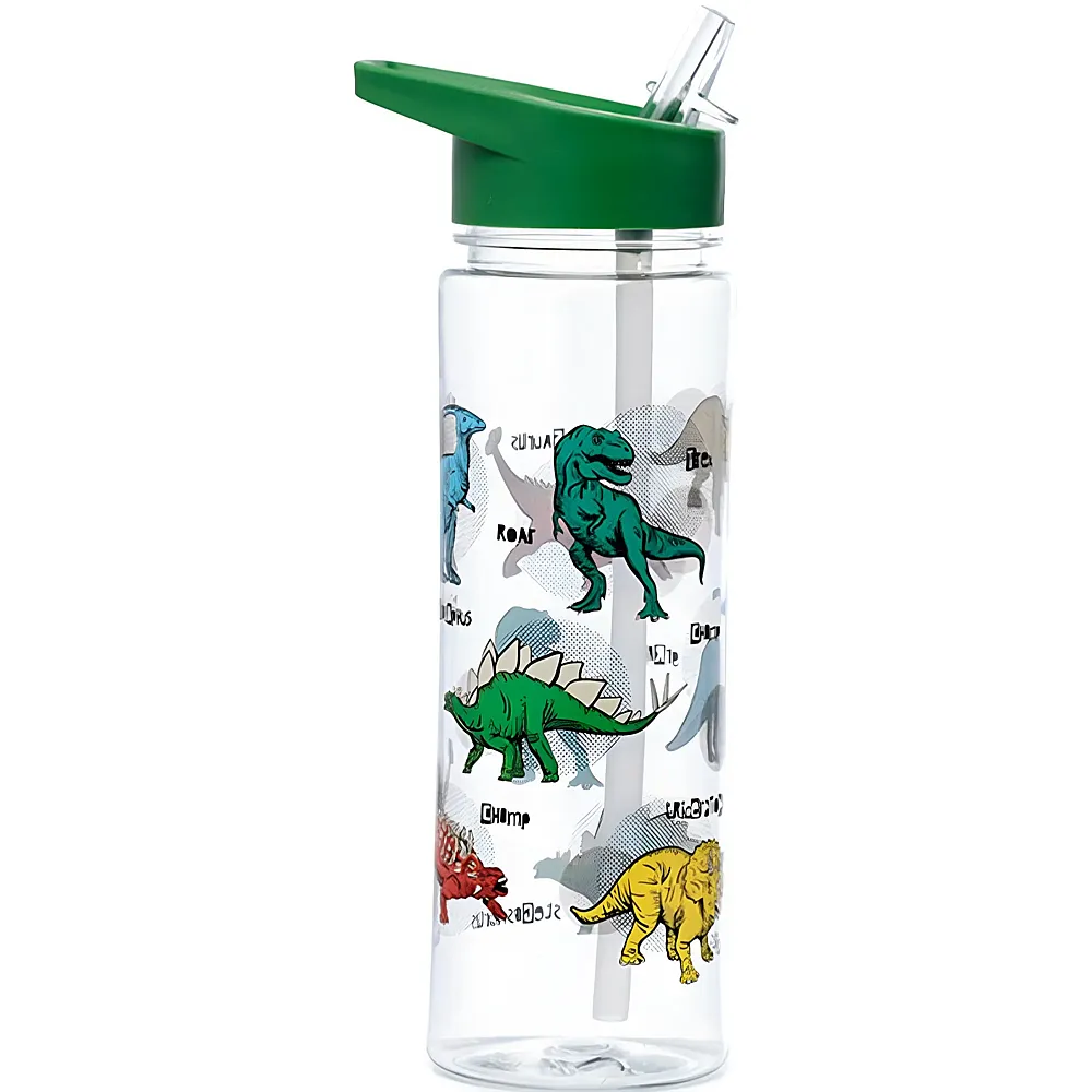 meinspielzeug - Puckator Dino Wasserflasche 550ml | Essen & Trinken