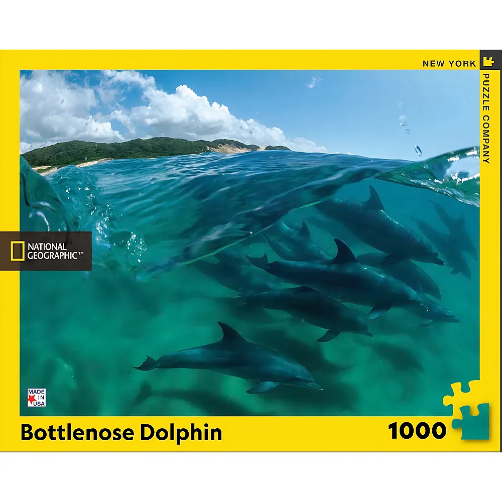 New York Puzzle Company Bottlenose Dolphins 1000Teile