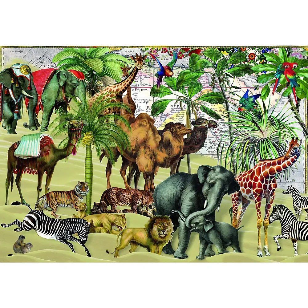 meinspielzeug - Bluebird Puzzle Desert - 1000 Teile | Puzzle 1000 Teile