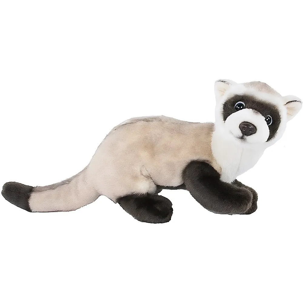 Teddys Rothenburg Furetto marrone chiaro - 30 cm