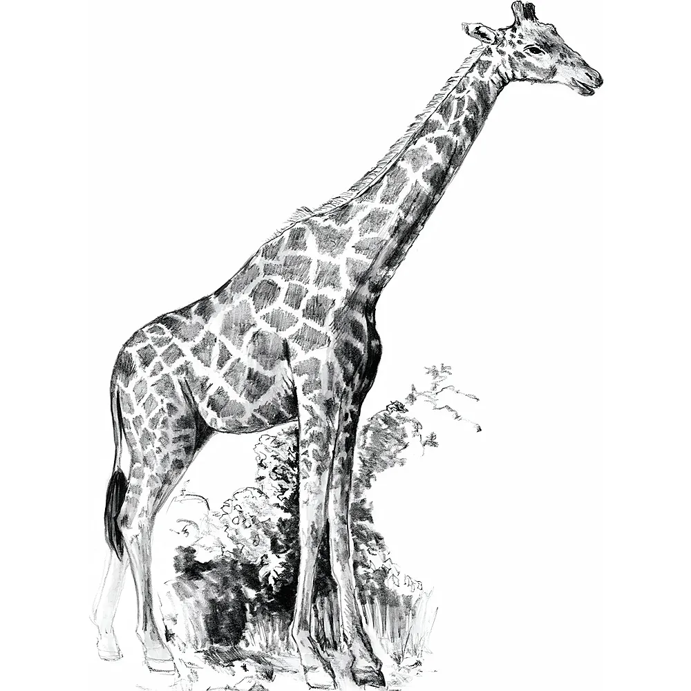 Royal & Langnickel R&l Sketching Mni Girafe 14x20cm - Suche