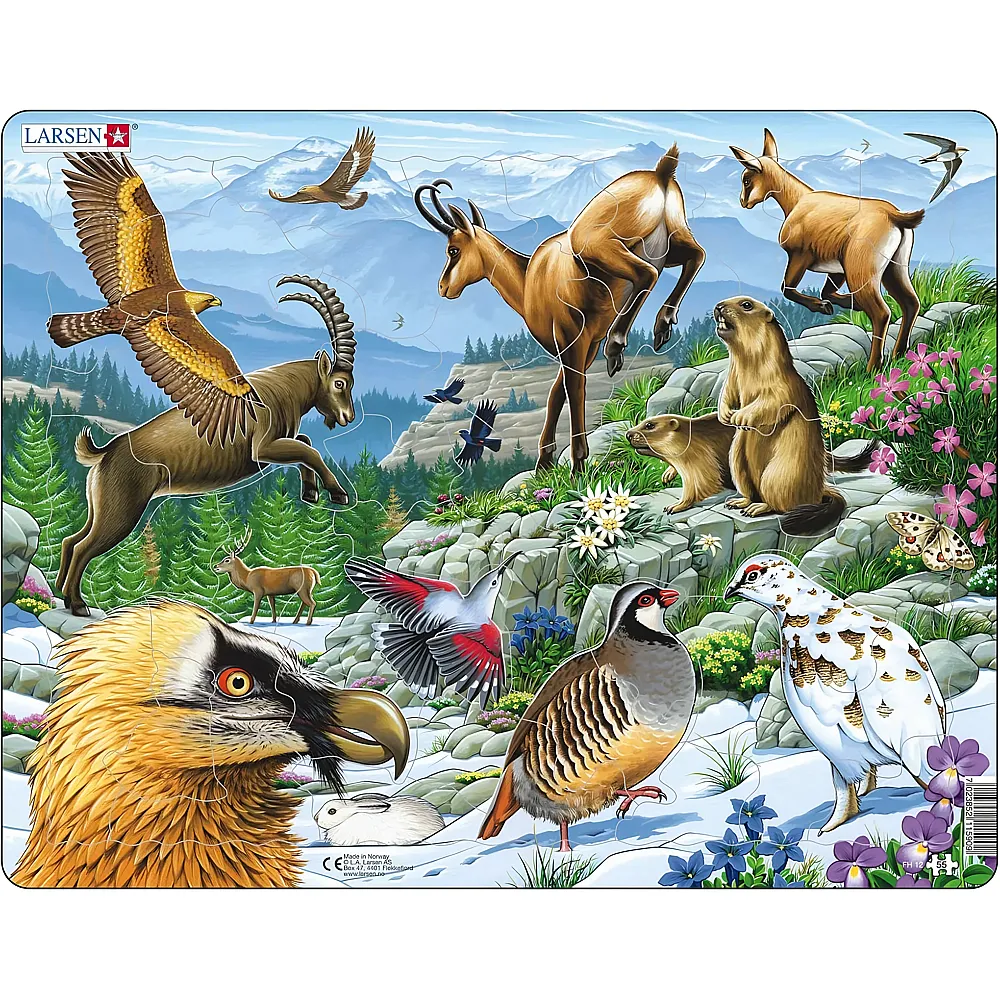 Larsen Puzzle Tiere der Alpen - 55 Teile - Rahmenpuzzle